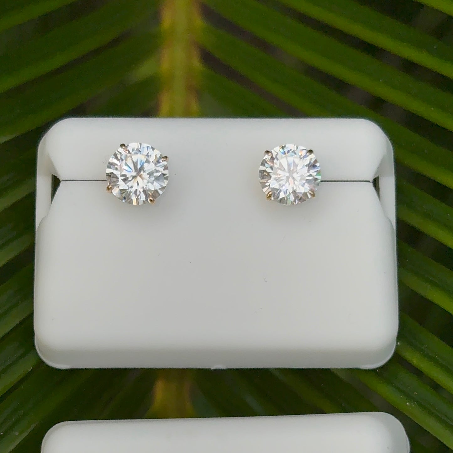 10k Gold Moissanite Stud Earrings
