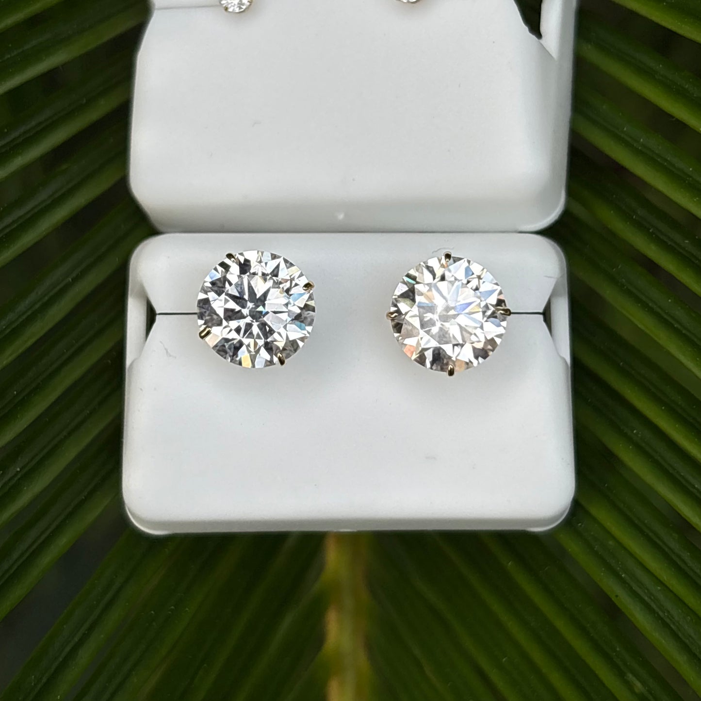 10k Gold Moissanite Stud Earrings