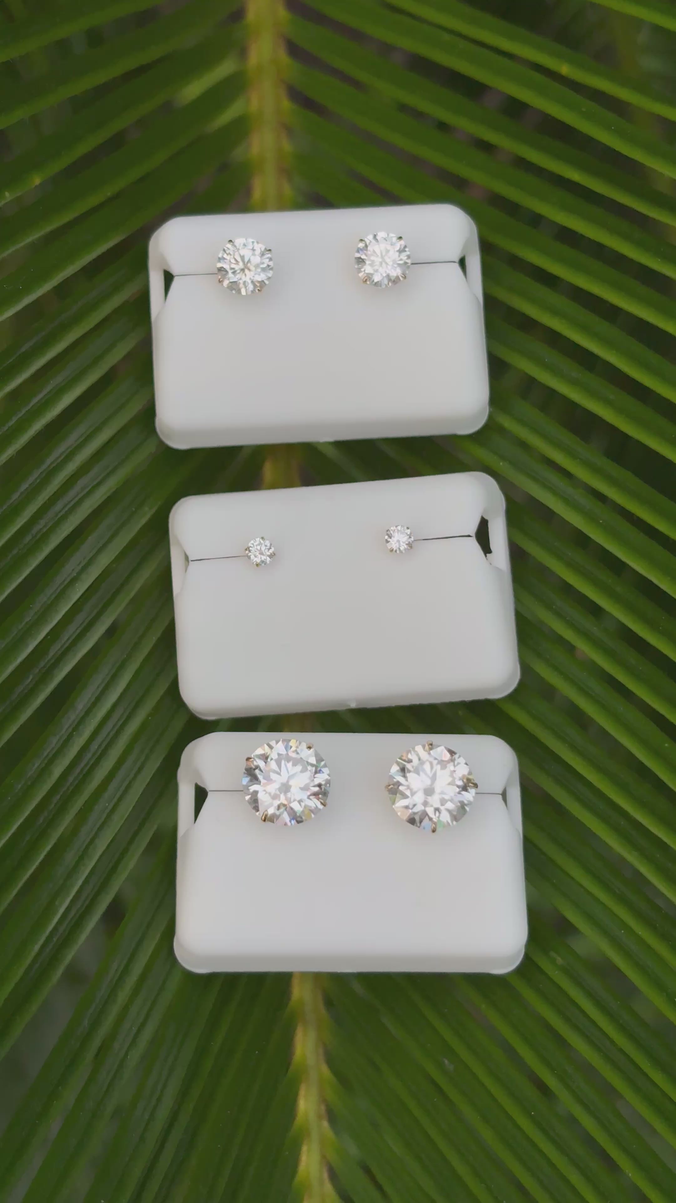 10k Gold Moissanite Stud Earrings